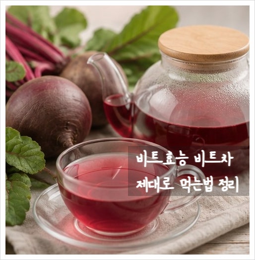 비트효능 비트차 제대로 먹는법 정리