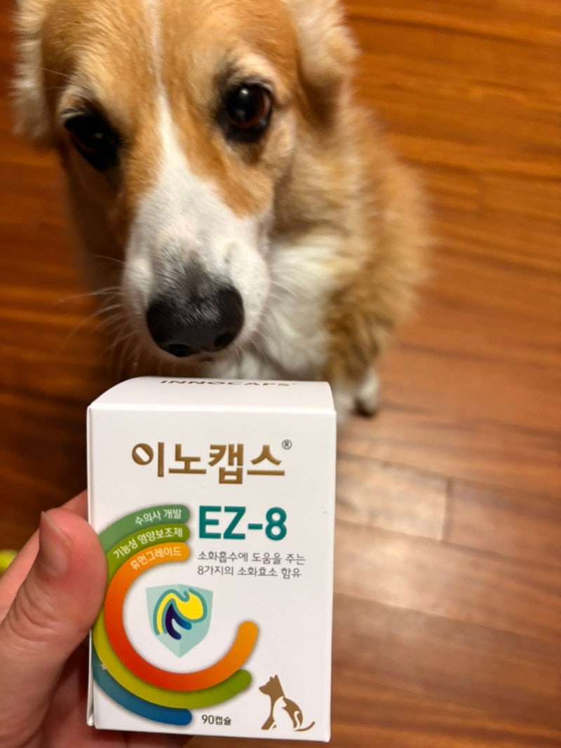 강아지췌장효소제 이노캡스 EZ-8으로 소화 관리 시작했어요