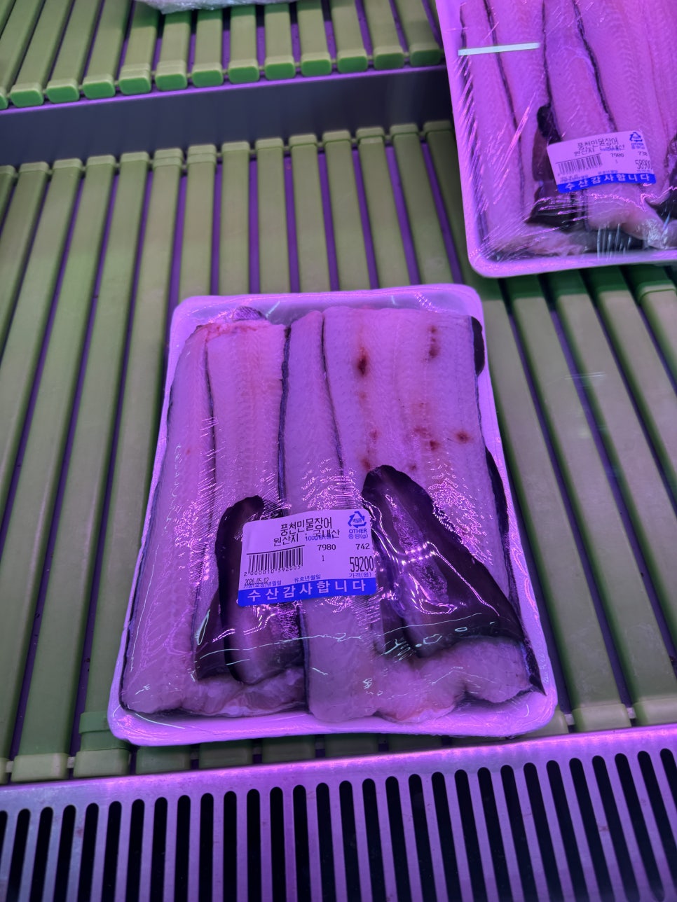바람난장어 사진 5