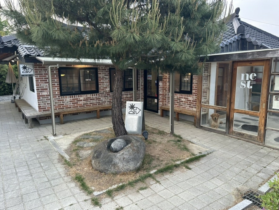 라이크바이네스트 사진 2