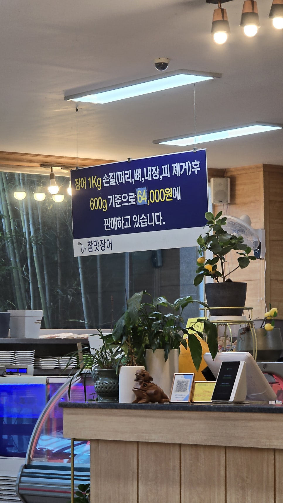참맛장어 사진 5