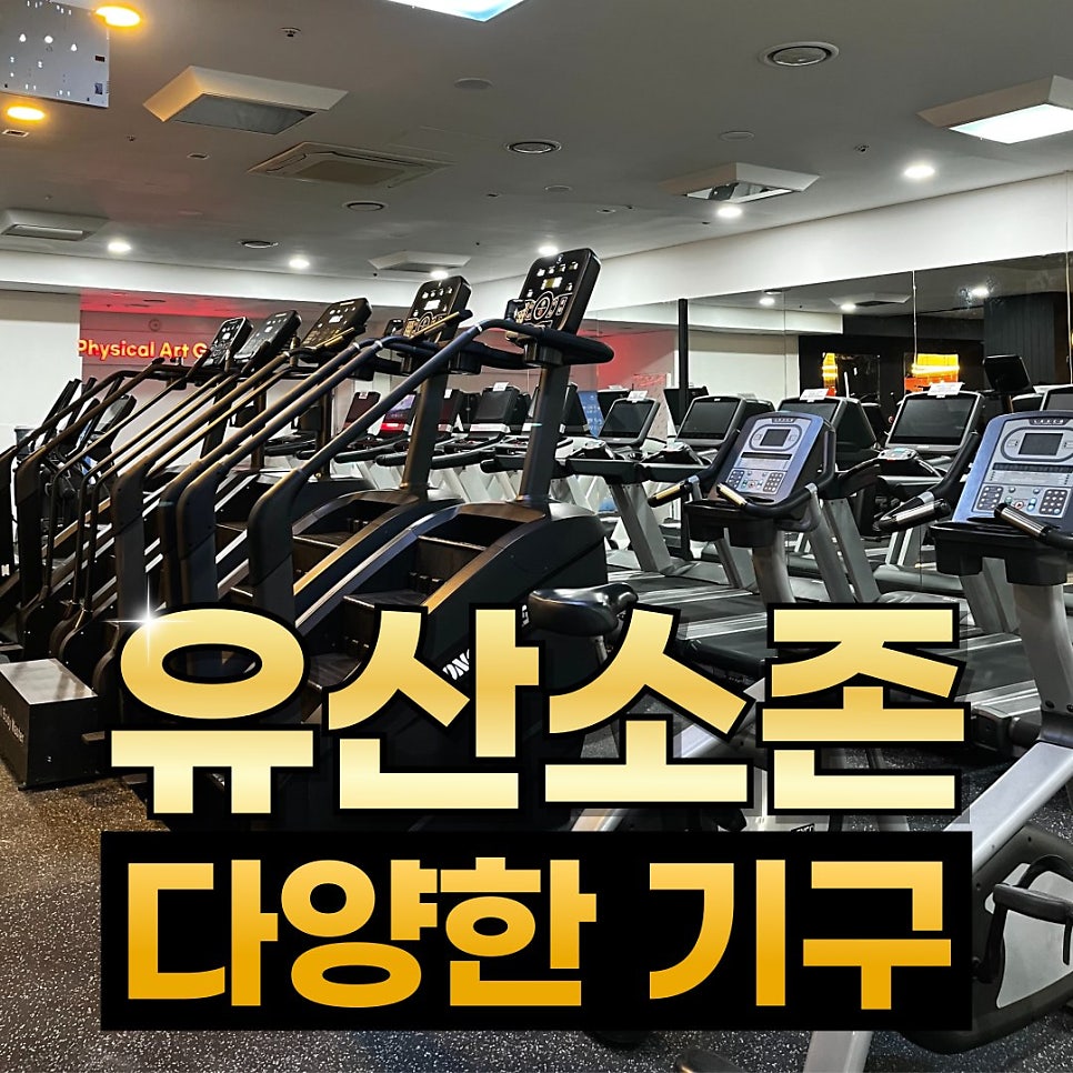 피아트짐 신촌점 사진 3