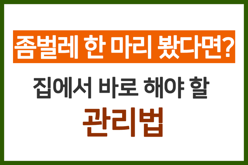 좀벌레 한 마리 봤다면? 집에서 바로 해야 할 관리법