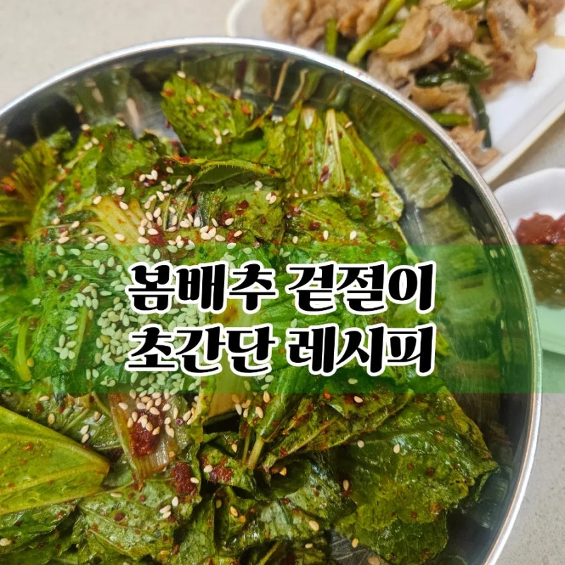 봄 배추(얼갈이 배추)겉절이 요린이도 쉽게 만들 수 있는 초간단 레시피/밥도둑,삽겹살 짝꿍