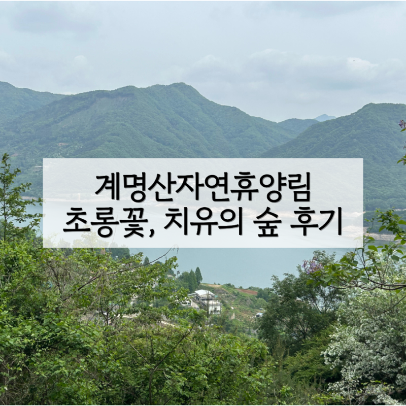 충주 계명산자연휴양림 가족호텔 치유의 숲 프로그램 후기 | 충주 여행 숙소
