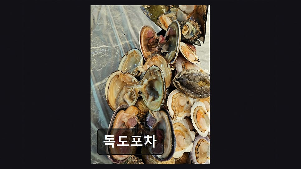 독도포차 사진 3