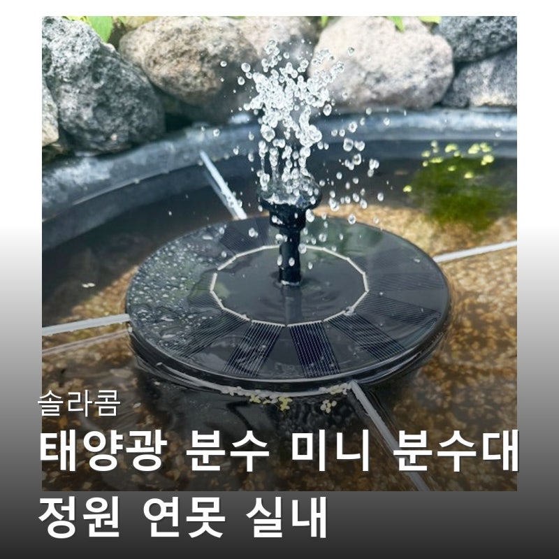 솔라콤 태양광 미니 분수대: 정원 연못 힐링템, 태양광 야외조명 솔직 후기
