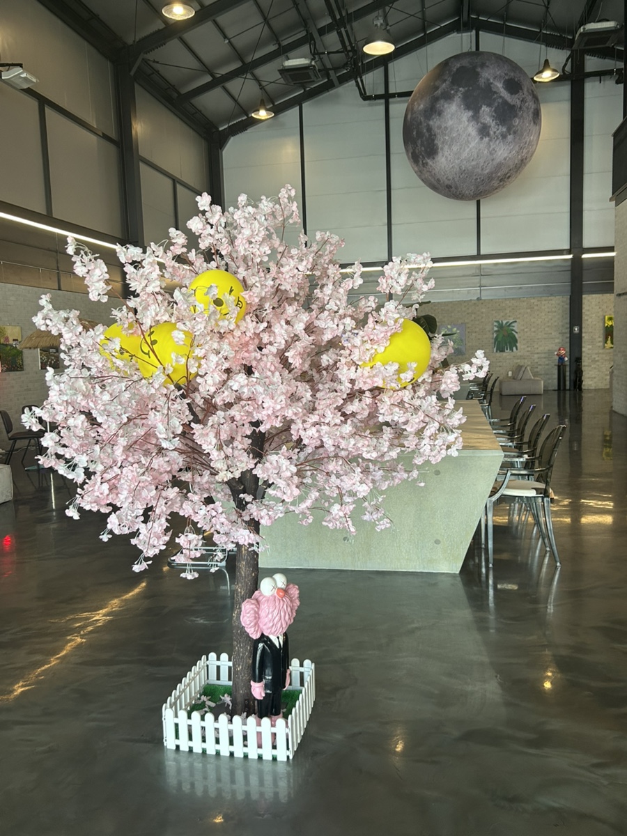 던바우 사진 6
