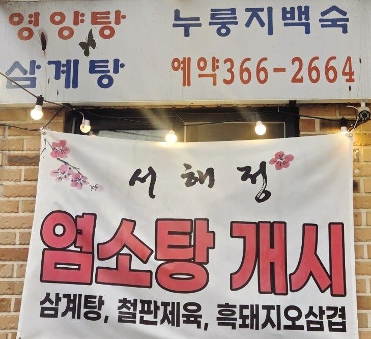 서해정 사진 3