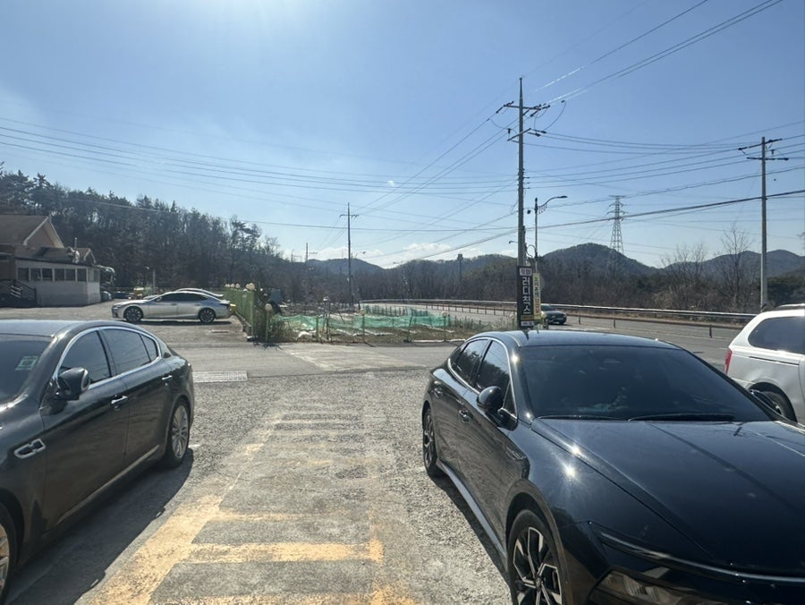 러디칙스 사진 2