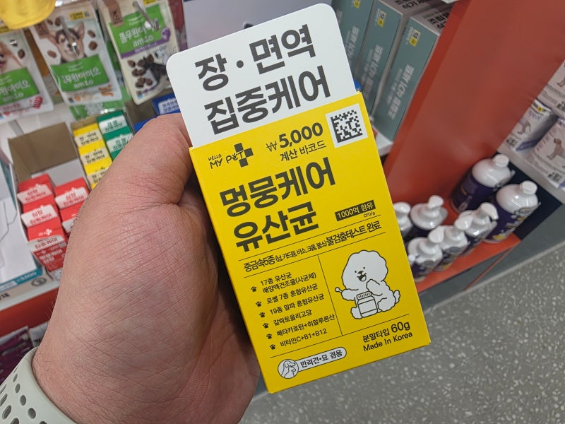 다이소 멍뭉케어 유산균 1000억 함유 장 면역 집중케어 영양제 추천