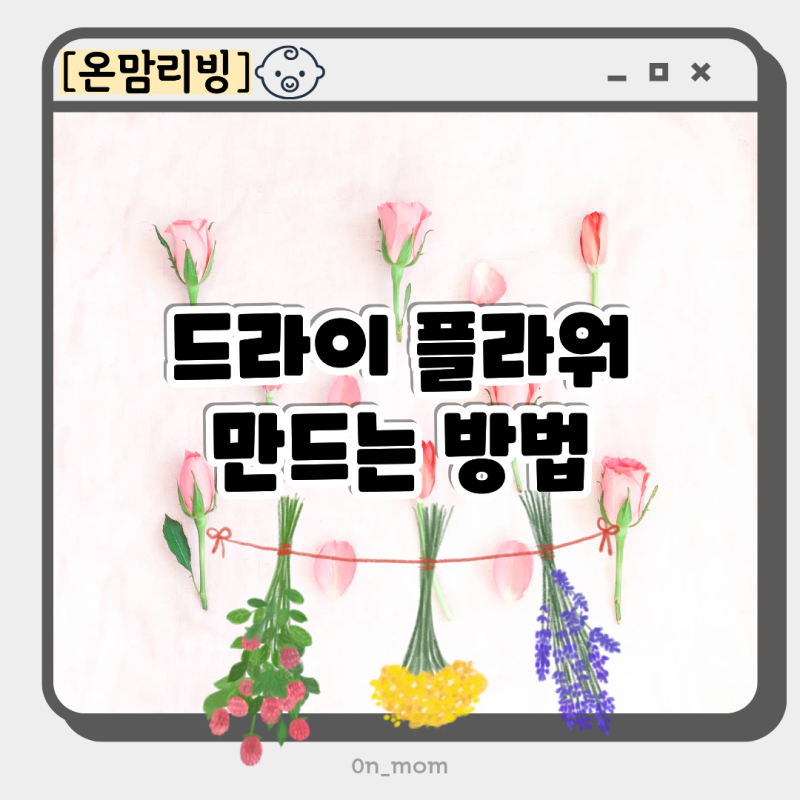 분홍 장미 꽃다발 보관 방법 드라이플라워 만들기