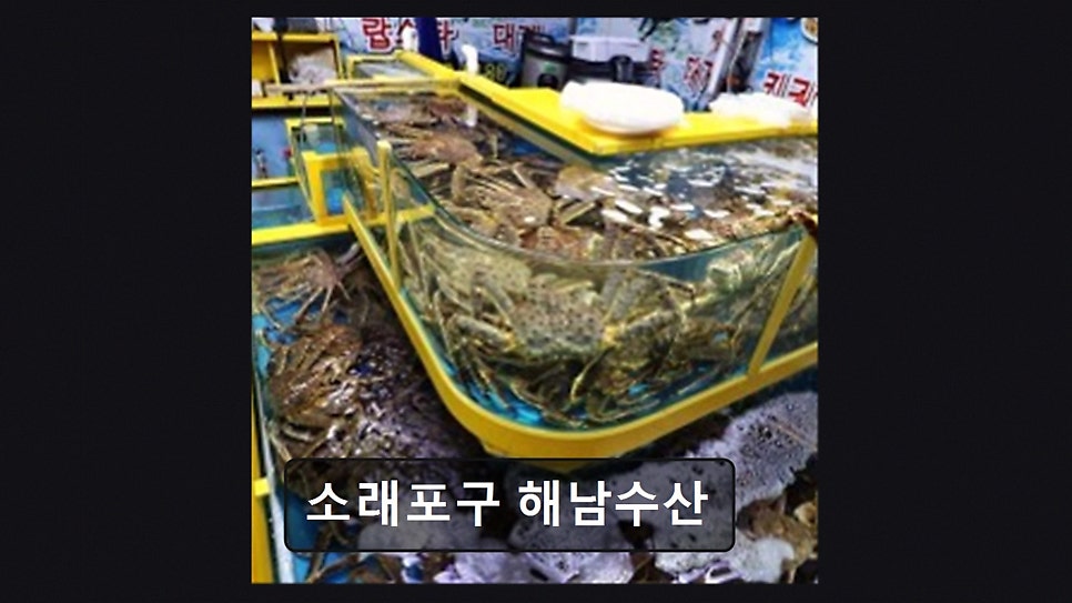 소래포구해남수산 사진 1