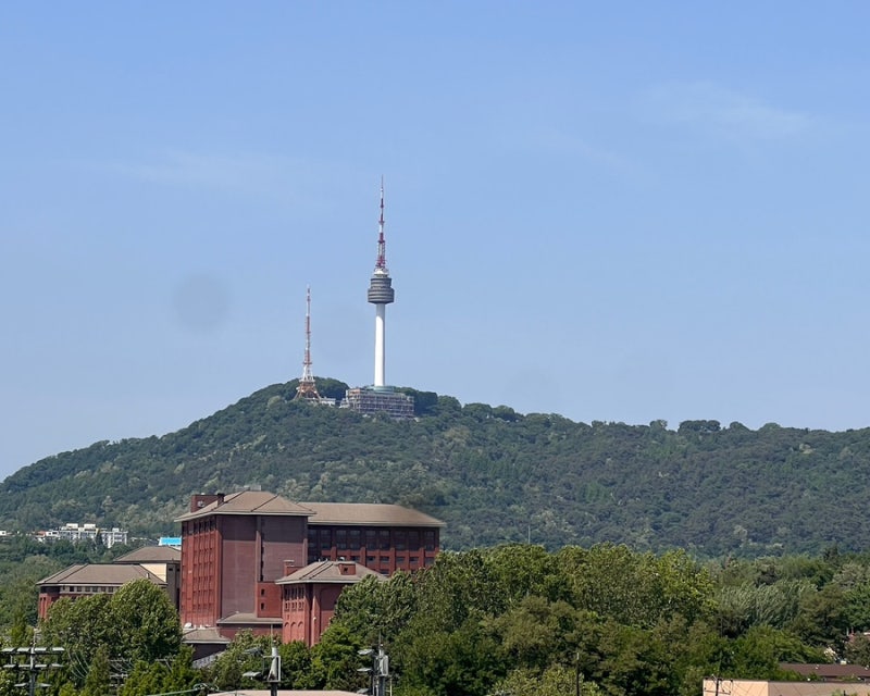 [자궁 적출 후] 수술 후 첫 여행, 일상회복