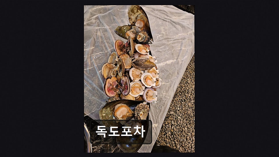 독도포차 사진 2