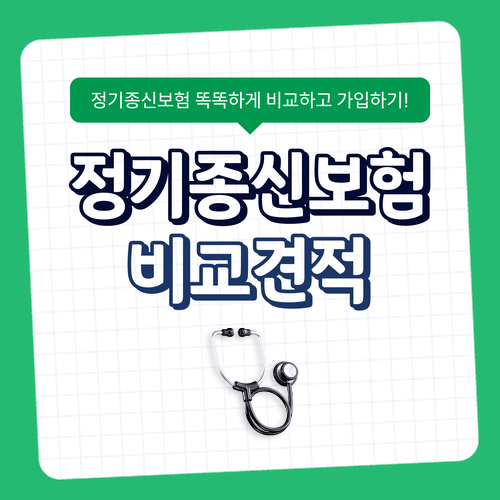 경영인 정기보험 장점과 환급 조건 비교할 때 놓치기 쉬운 항목