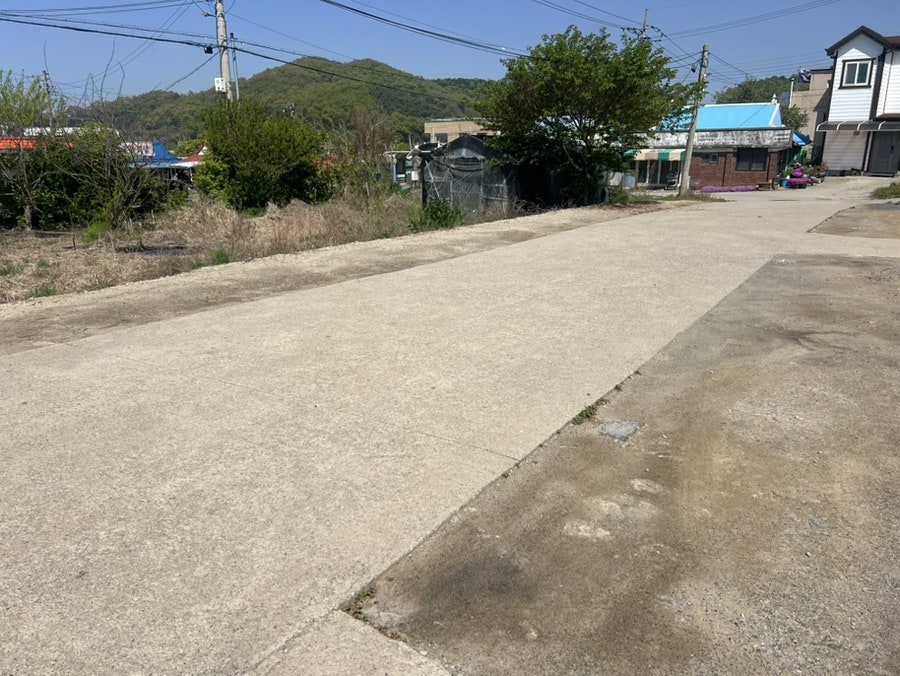 서울식당 사진 4