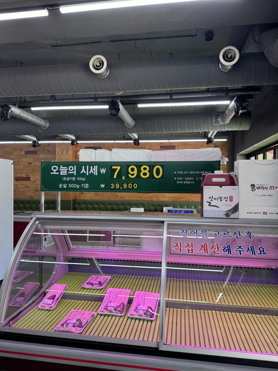 바람난장어 사진 3