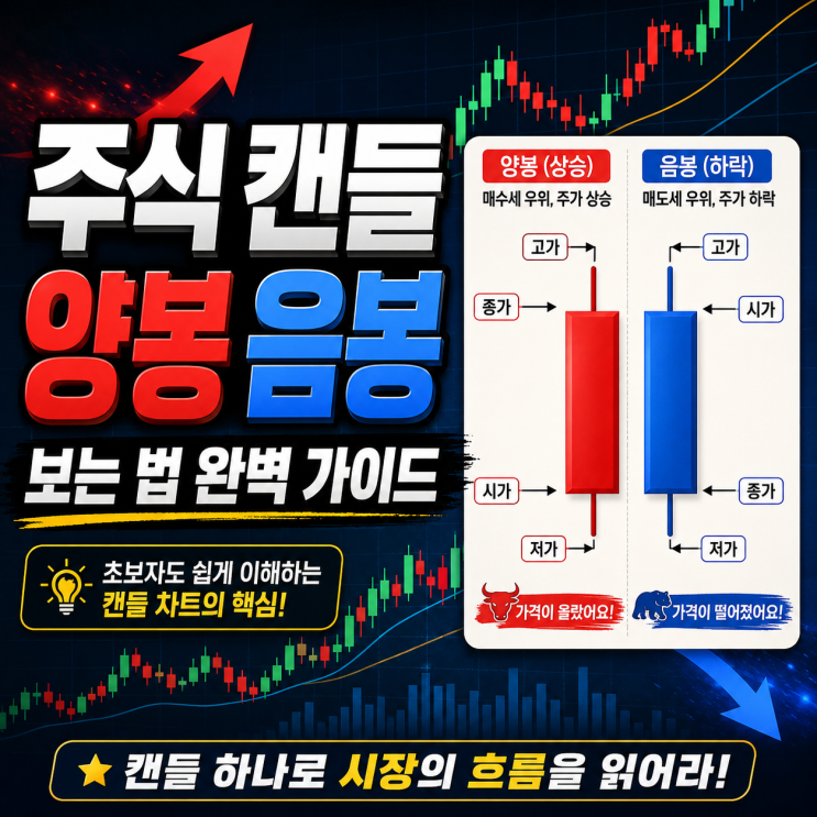  주가 차트 보는 법 기초 1탄, 주식 캔들 양봉 음봉 보는 법 완벽 가이드 (주식 공부 기초 다지기)