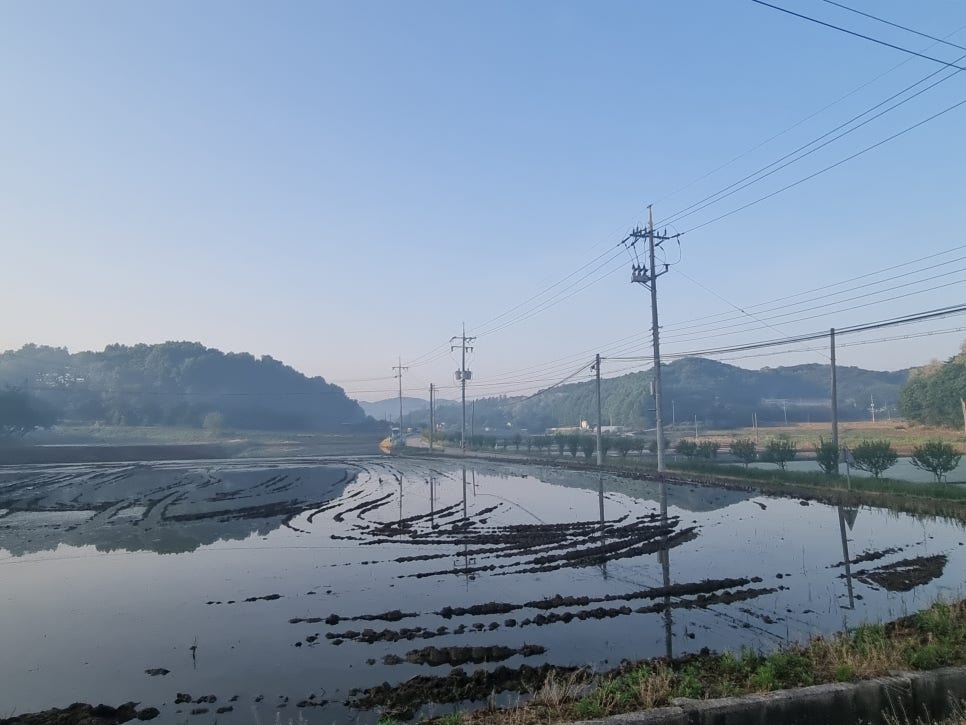 벽정지 사진 1