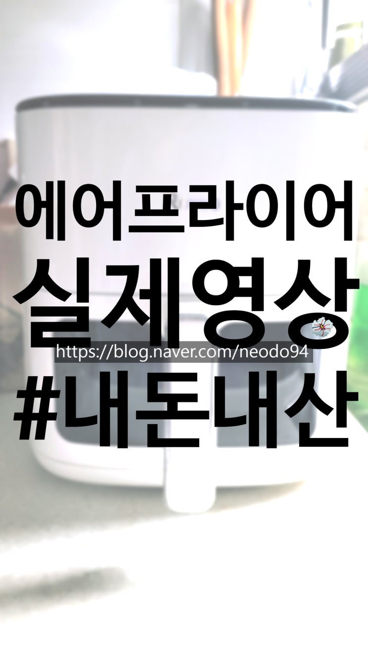  Rouuo 에어프라이어 후기 직접 써본 장점 단점 솔직 리뷰 (+생선까스 조리)