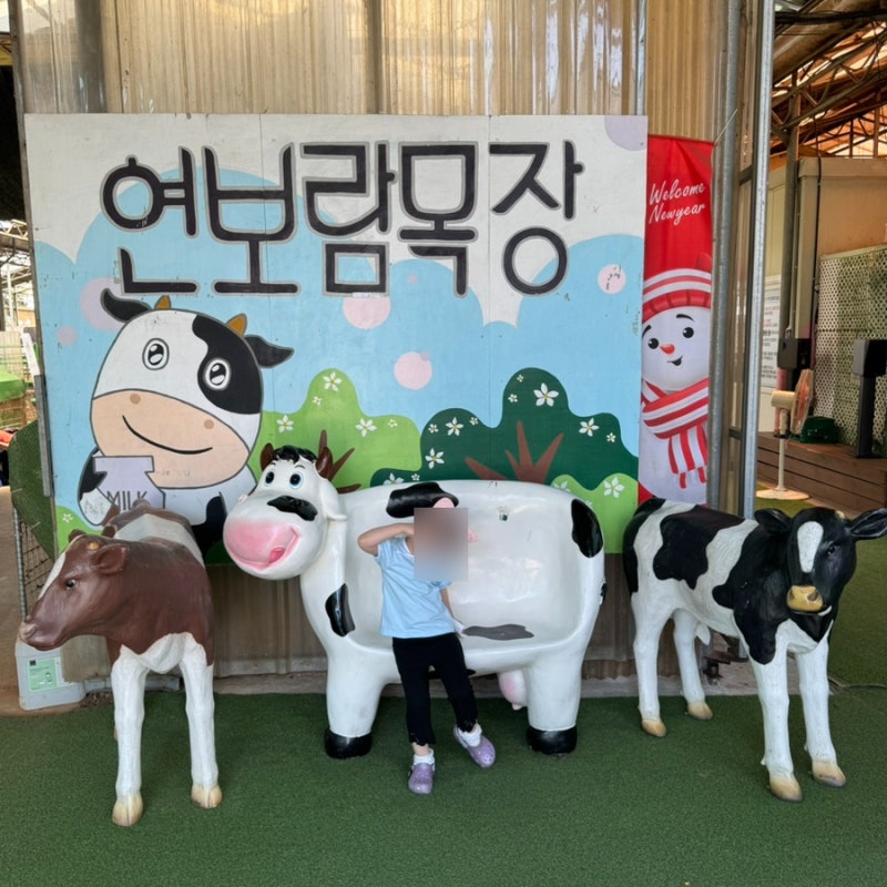 김포 아이와 가볼만한곳 체험농장 연보람목장