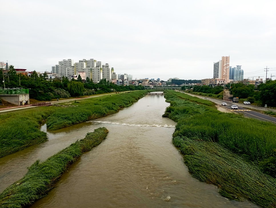 대미산 사진 6