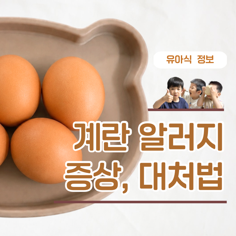 아기 계란 알러지 테스트 방법과 증상 대처방법