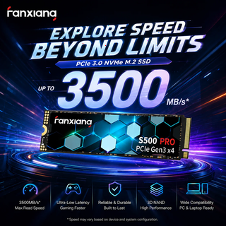  판샹 S500 프로 NVMe SSD - 빠른 M.2 내장 드라이브