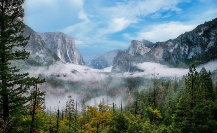  요세미티 소수 인원 알찬하루투어 가족 아이랑 인생샷 후기
