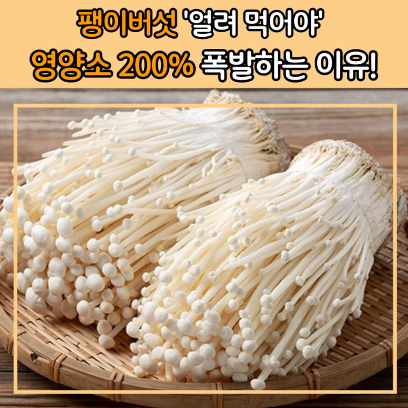 가격 착하고 맛있는 팽이버섯! 한 달 내내 꼬들한 보관법부터 영양 200% 살리는 조리 꿀팁까지....