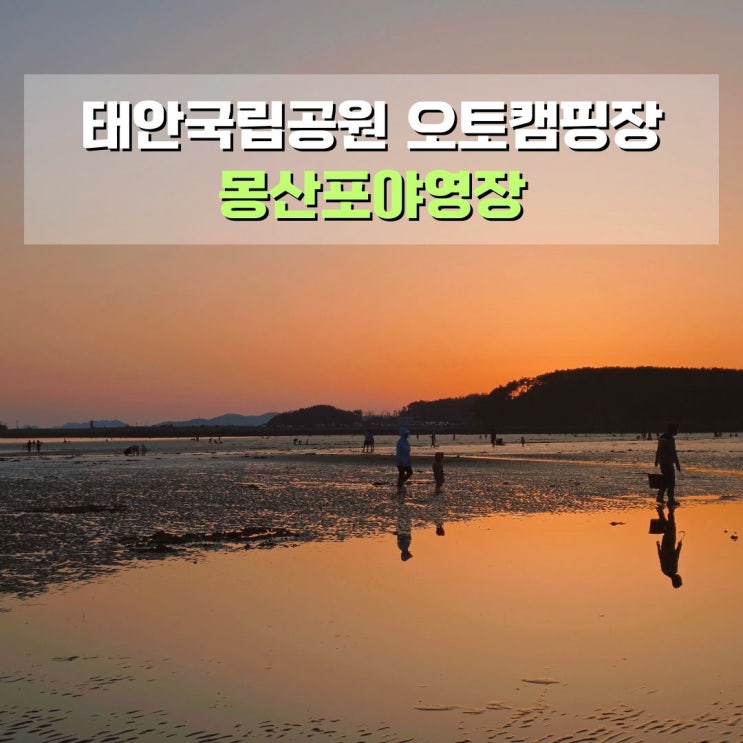  몽산포야영장 G006 후기 안면도 바다여행 태안해안국립공원 오토캠핑장 몽산포해수욕장 일몰
