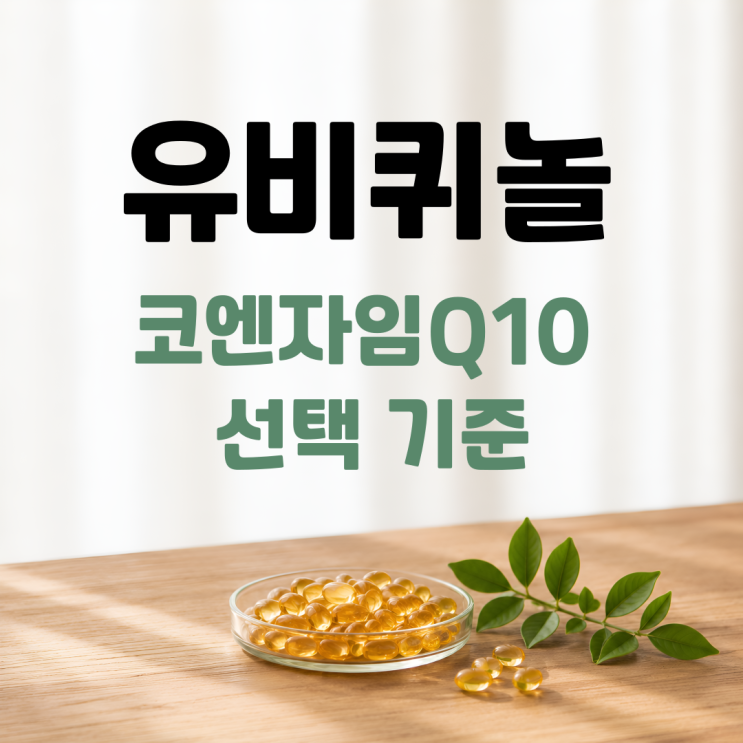  유비퀴놀 효능 부작용 섭취방법 총정리 ㅣ 유비퀴논과 차이까지