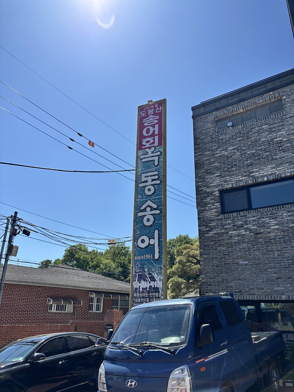 옥동송어 사진 1