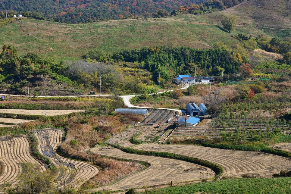 용유지 사진 1