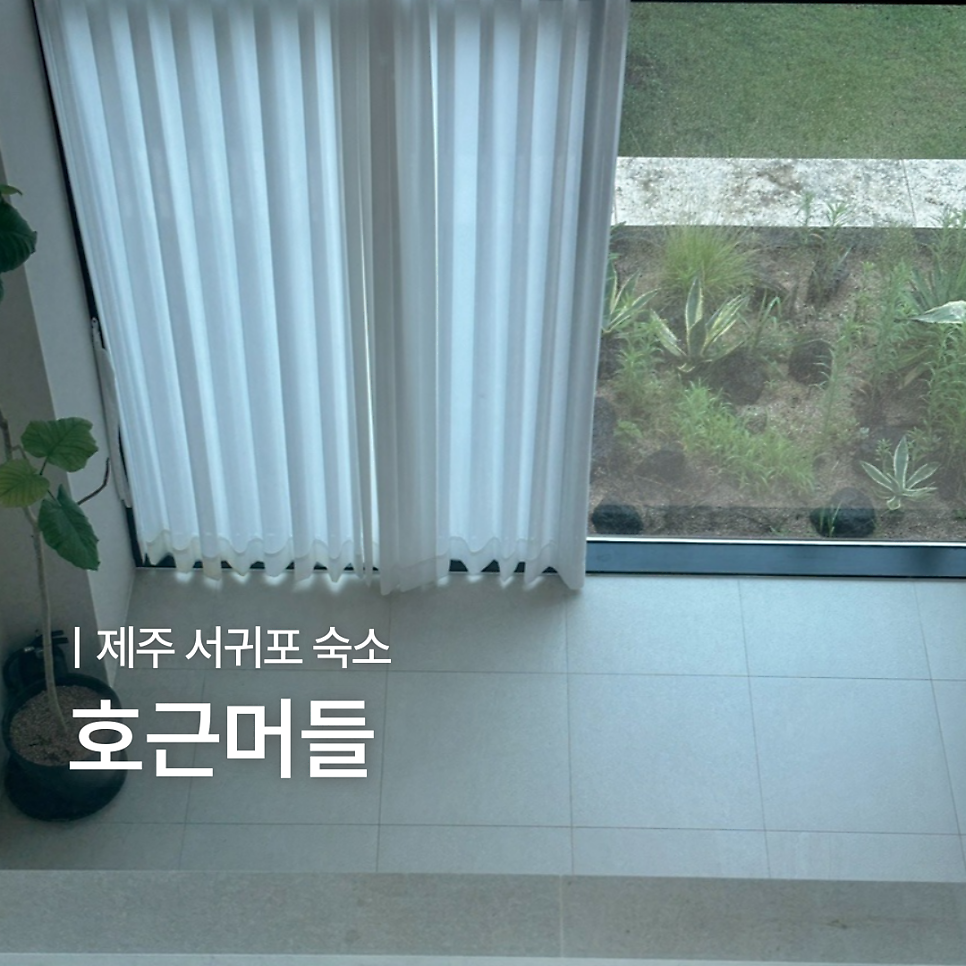 호근머들 사진 1