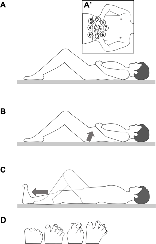하루 10분 누워서 하는 운동… 2주 만에 균형·민첩성 개선 [노화설계]