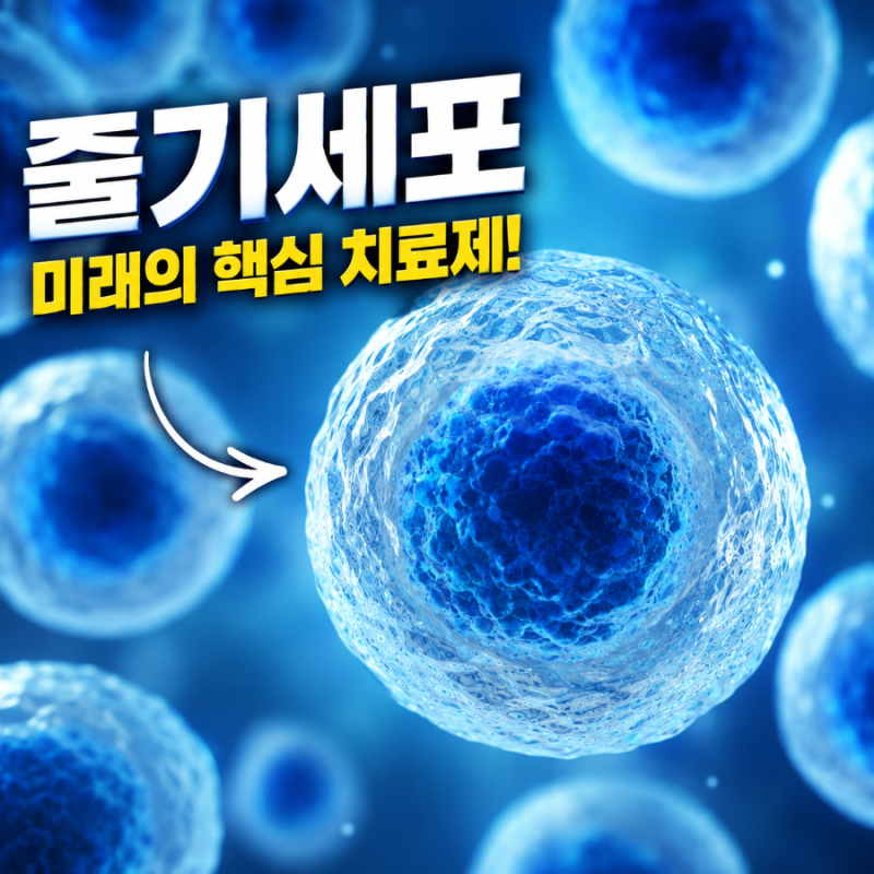 줄기세포 치료 어디까지 가능할까? 효과,부작용,비용 총정리