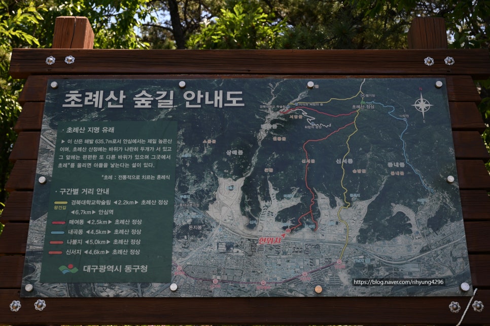 새못 사진 1