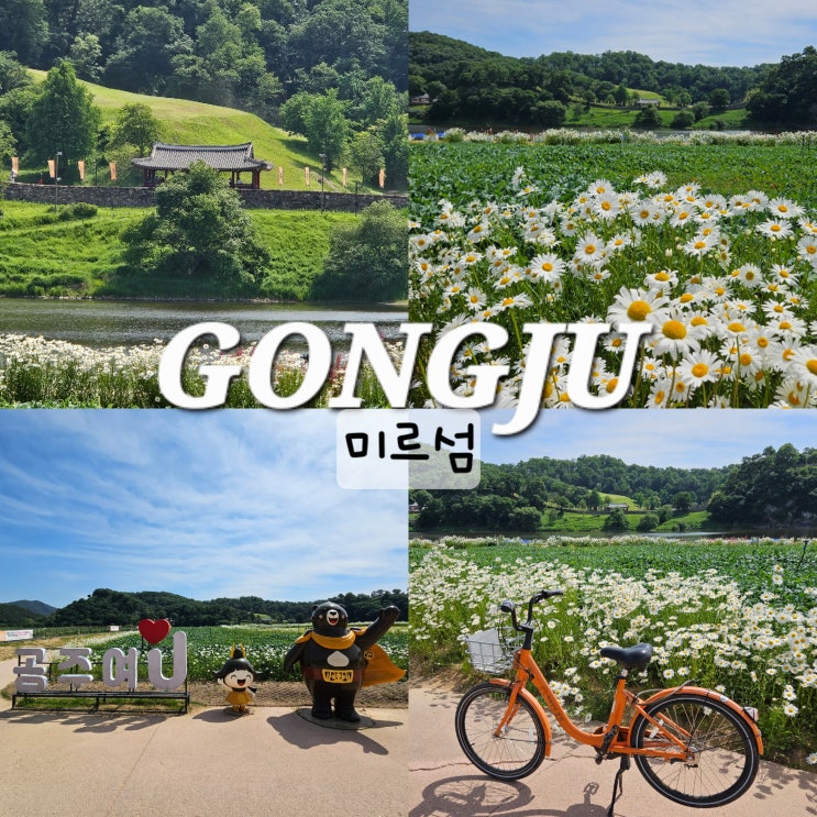 공주 미르섬 샤스타데이지 자전거 금강신관공원 주차