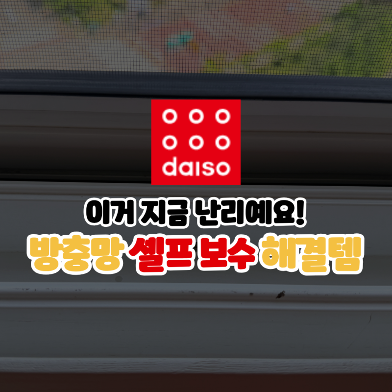 이거 지금 난리예요! 다이소 방충망 스티커 테이프 물구멍 셀프 보수 꿀템
