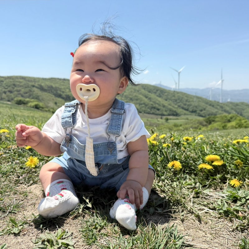 강원도 여행 | 대관령 8개월 아기랑 애견동반 하늘목장 : 입장권 할인 / 트랙터 / 먹이주기 / ....
