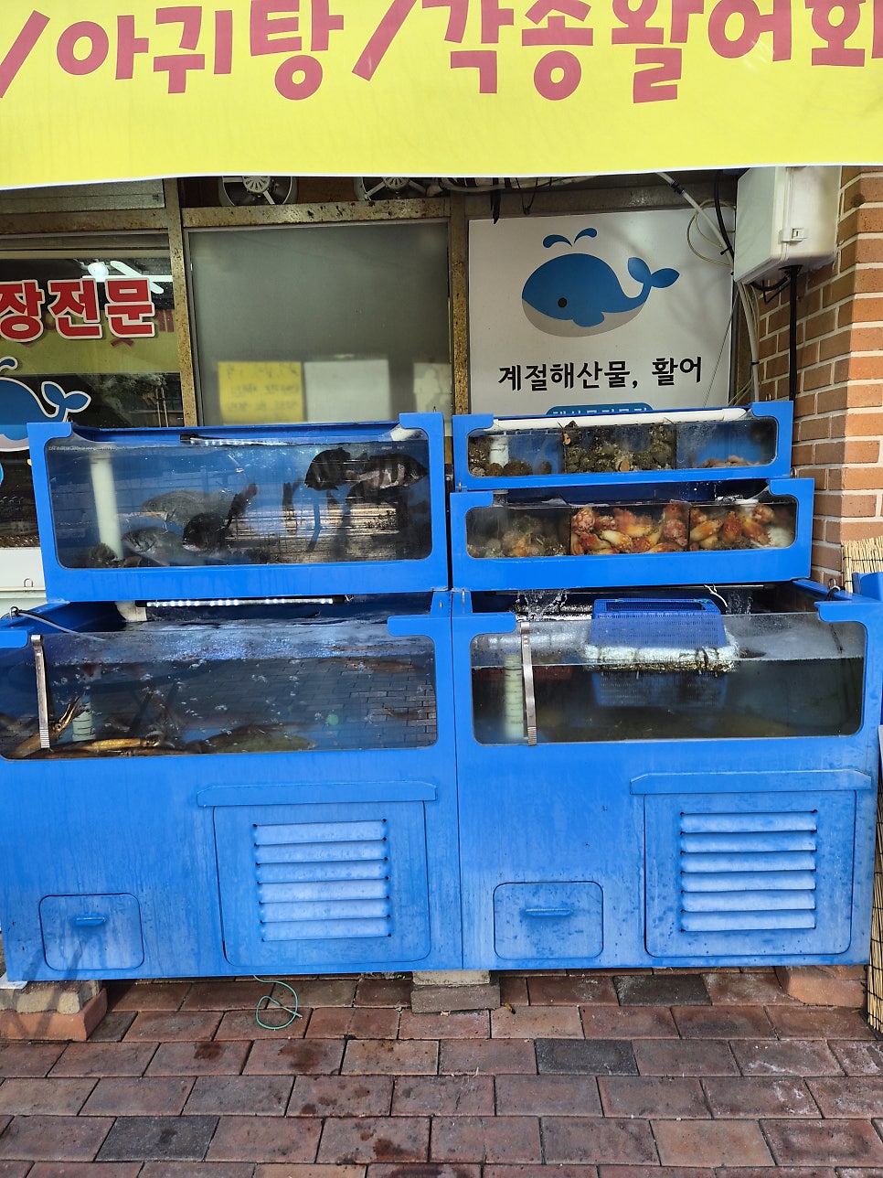 고래포차 사진 3