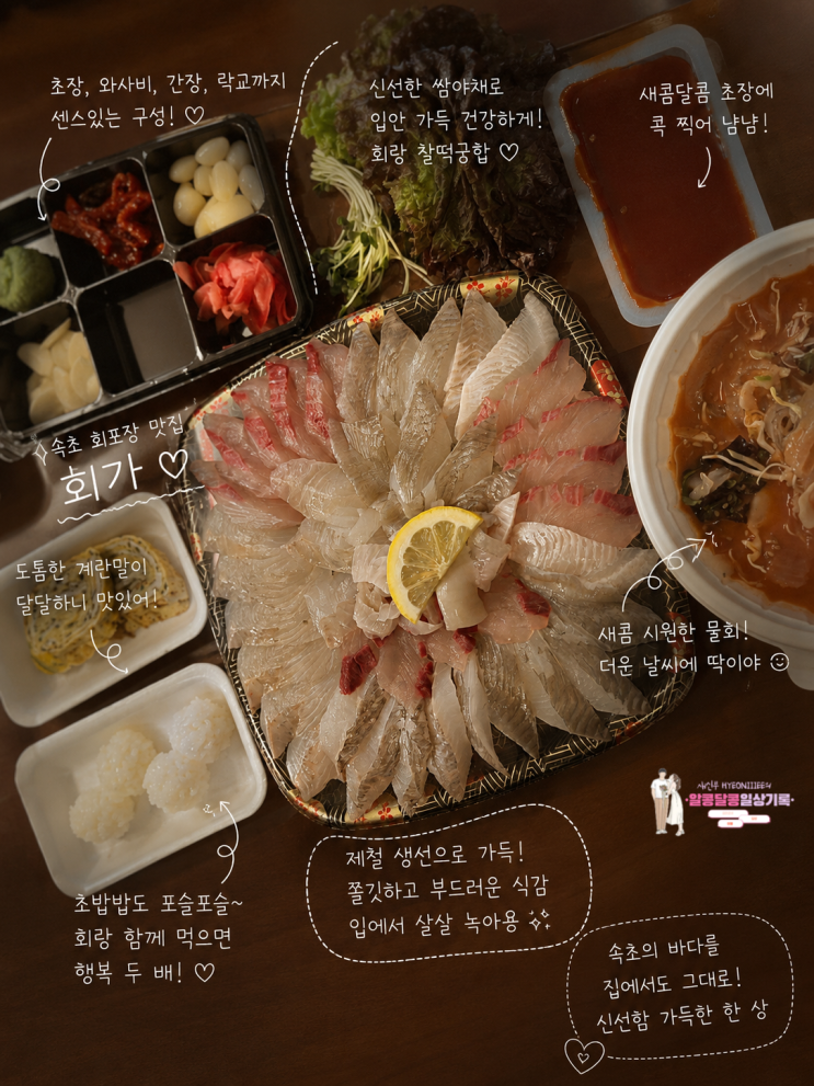 속초 회포장 맛집 '회가' 숙소에서 즐기는 신선한 모듬회 & 물회 후기
