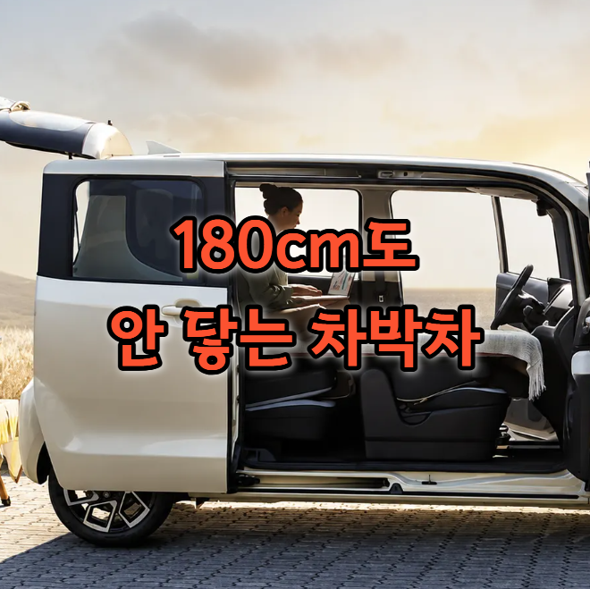  차박러들이 유독 좋아하는 차 특징