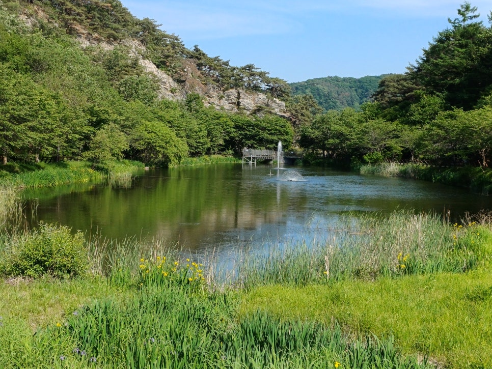 강선봉산림욕장 사진 5