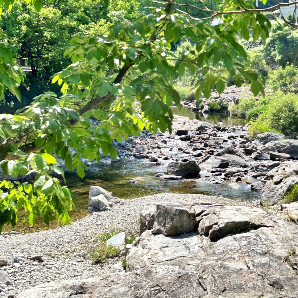 꽃마리애펜션 사진 1