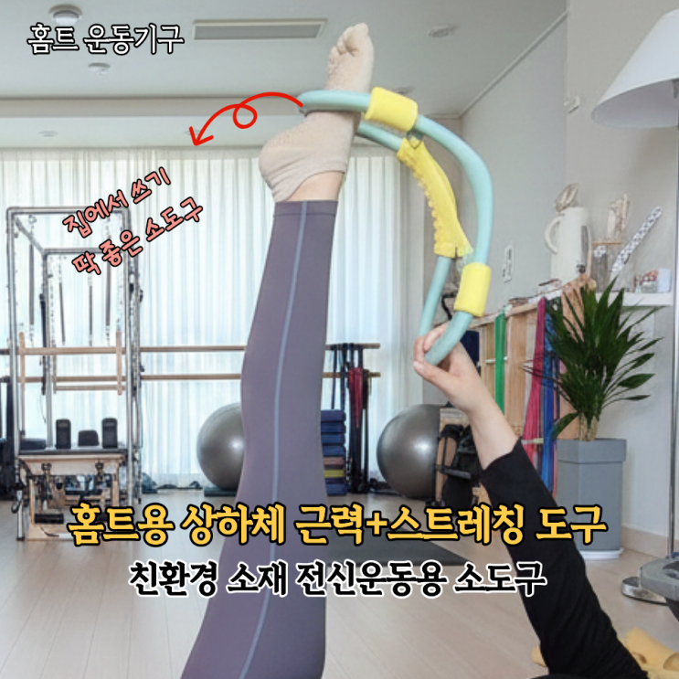  집에서 스트레칭+코어운동 가능! 달루 전신운동 소도구 홈트운동기구 후기