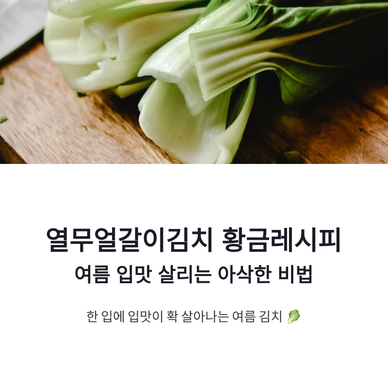 열무얼갈이김치 황금레시피 여름 입맛 살리는 아삭한 비법