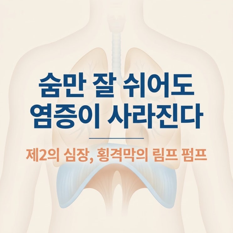  현대인 만성피로 염증 원인, 횡격막 마비와 얕은 호흡 한의원 치료